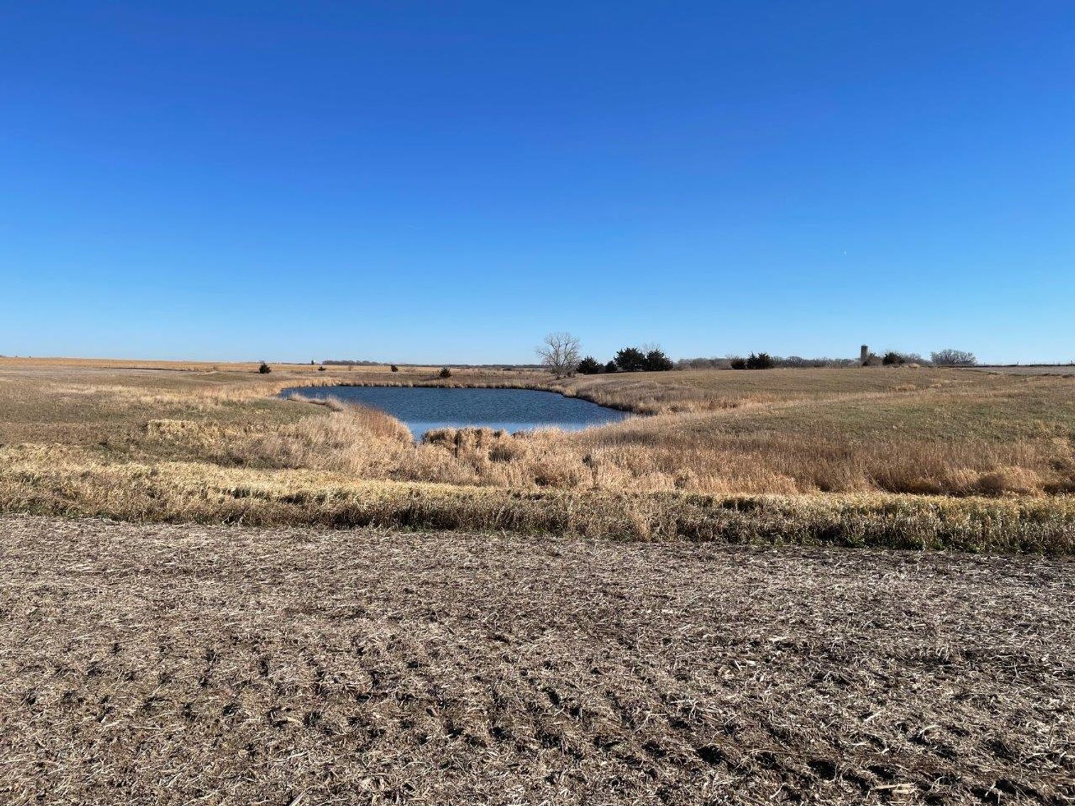 Image for O'Brien County Land Auction!