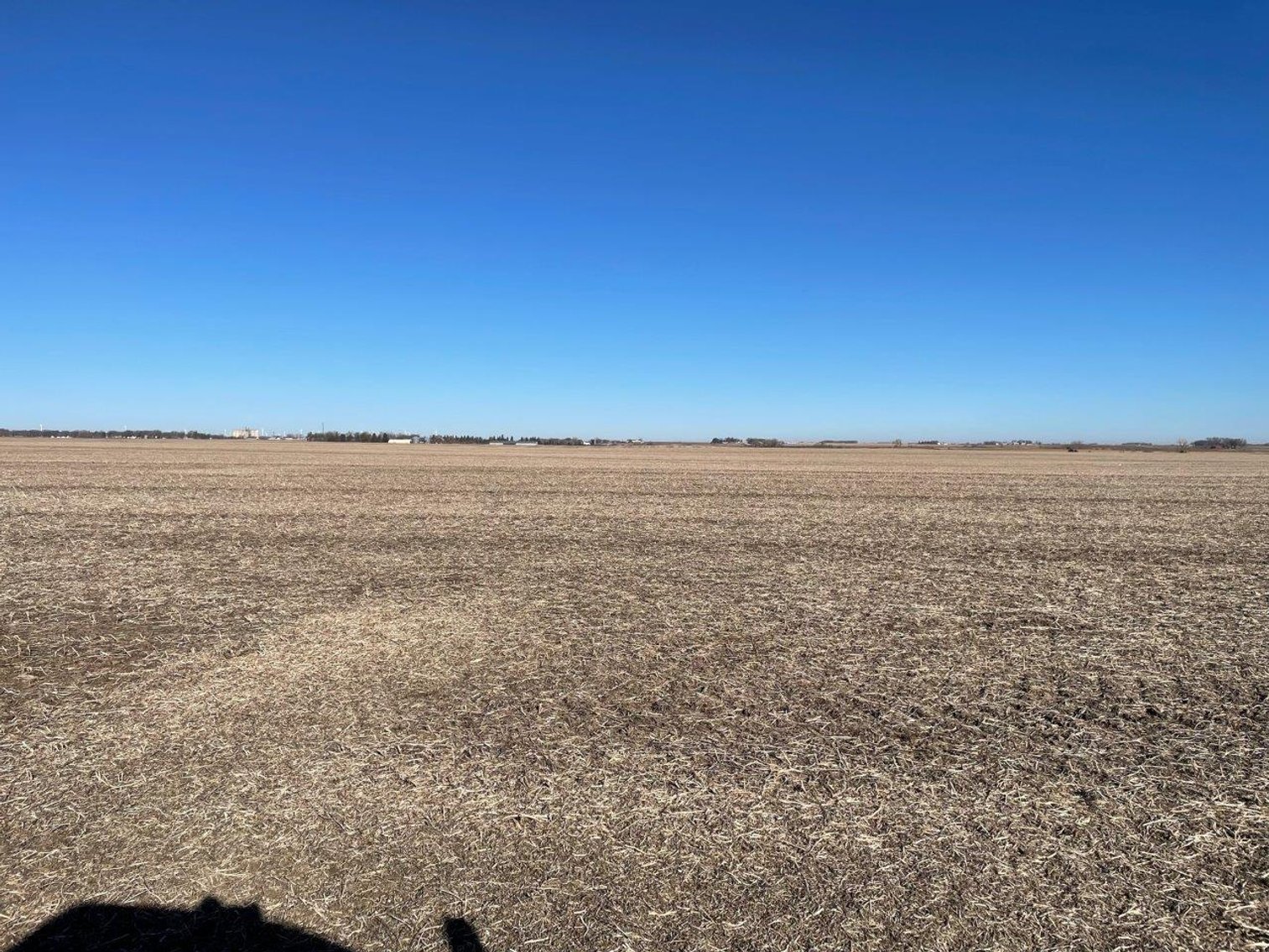 Image for O'Brien County Land Auction!