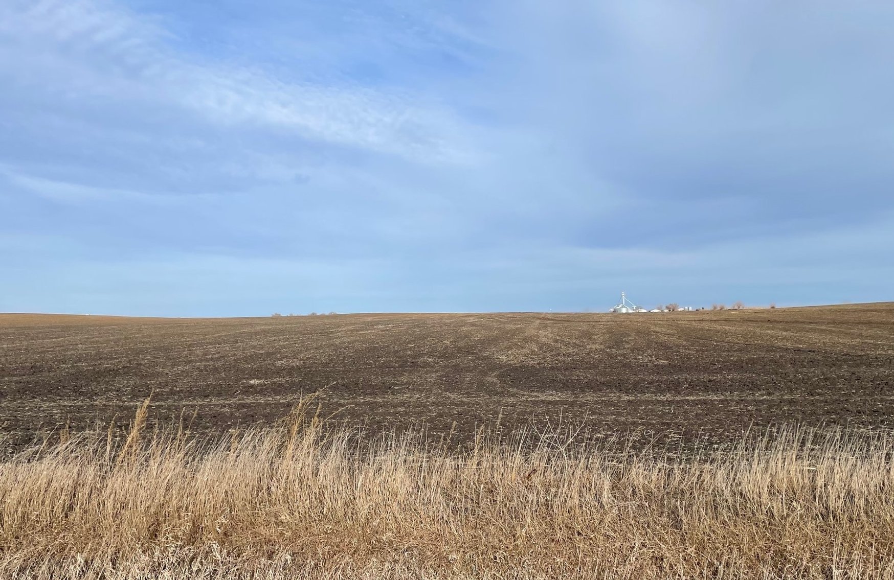 Image for Sac County, Iowa Farmland For Sale!