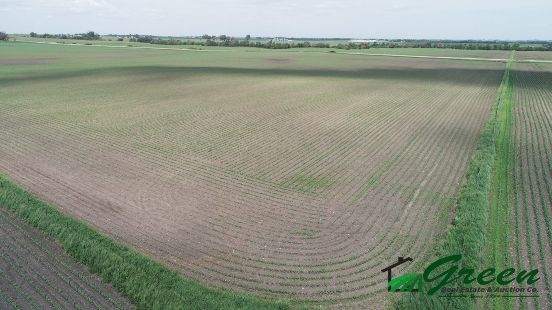 Image for Sac County, IA Land Auction!