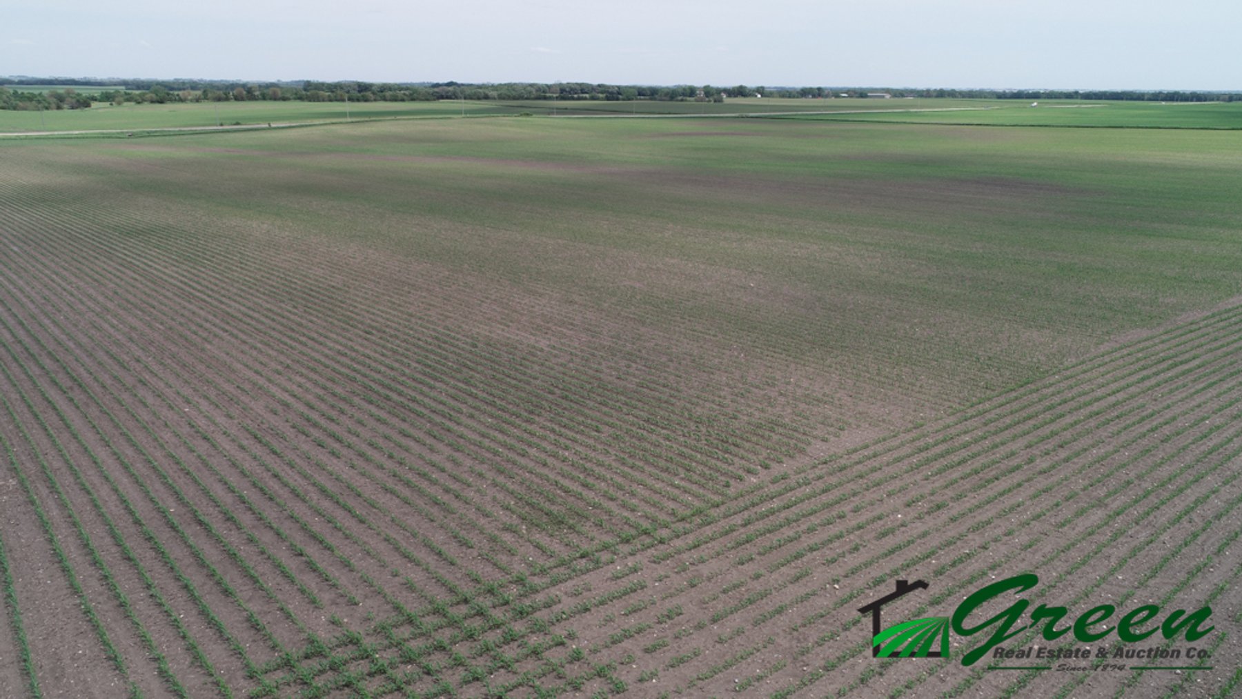 Image for Sac County, IA Land Auction!