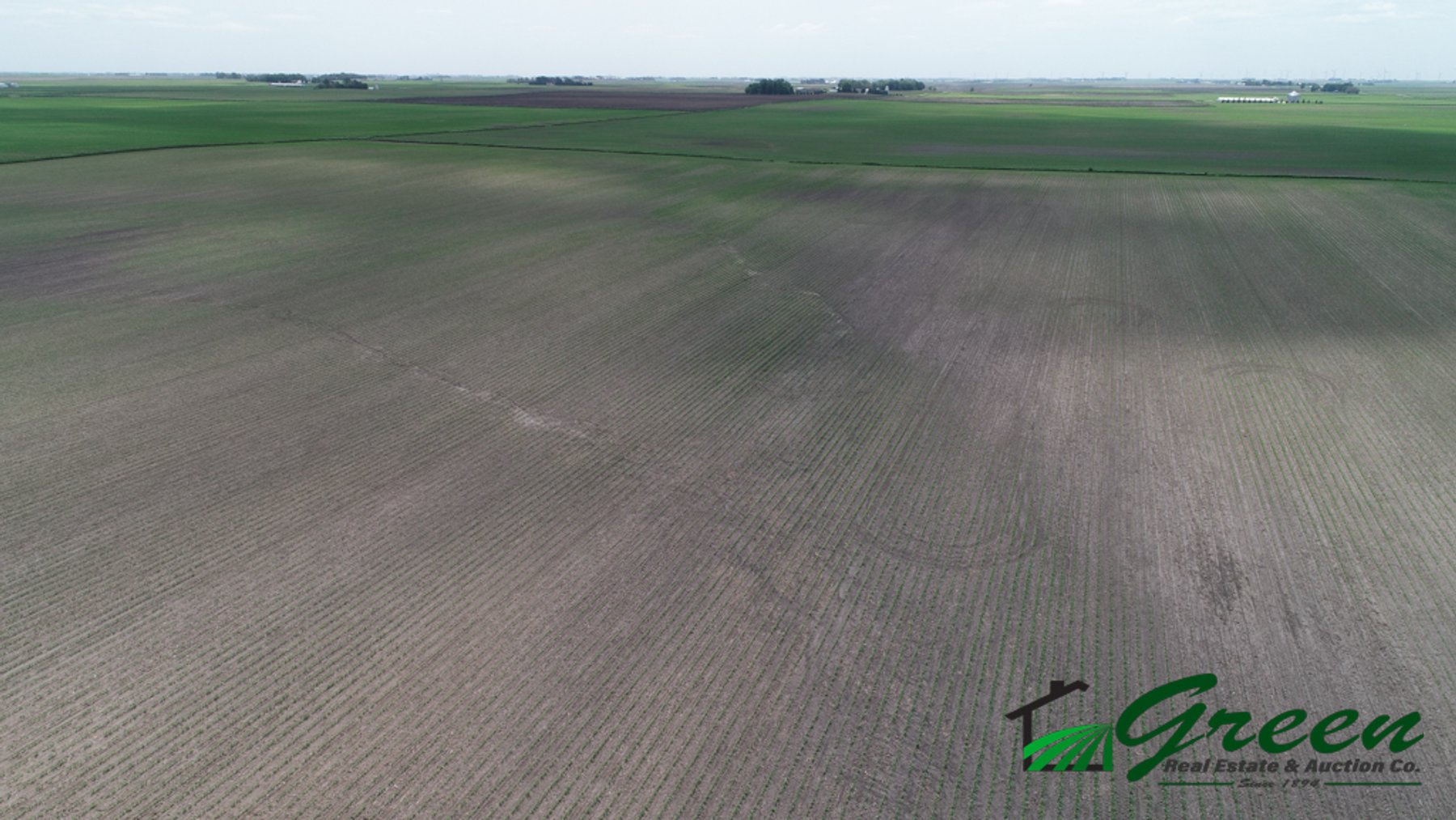Image for Sac County, IA Land Auction!