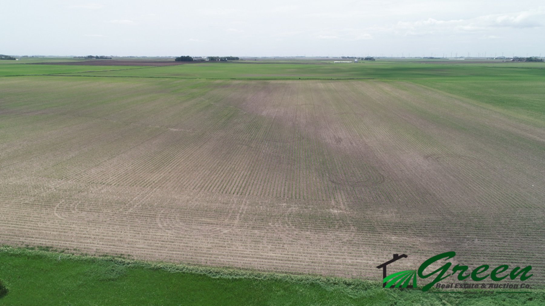 Image for Sac County, IA Land Auction!