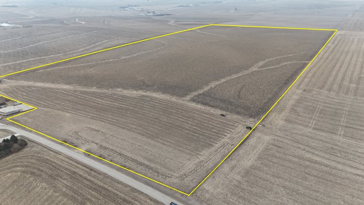 Image for Carroll County Land Auction!