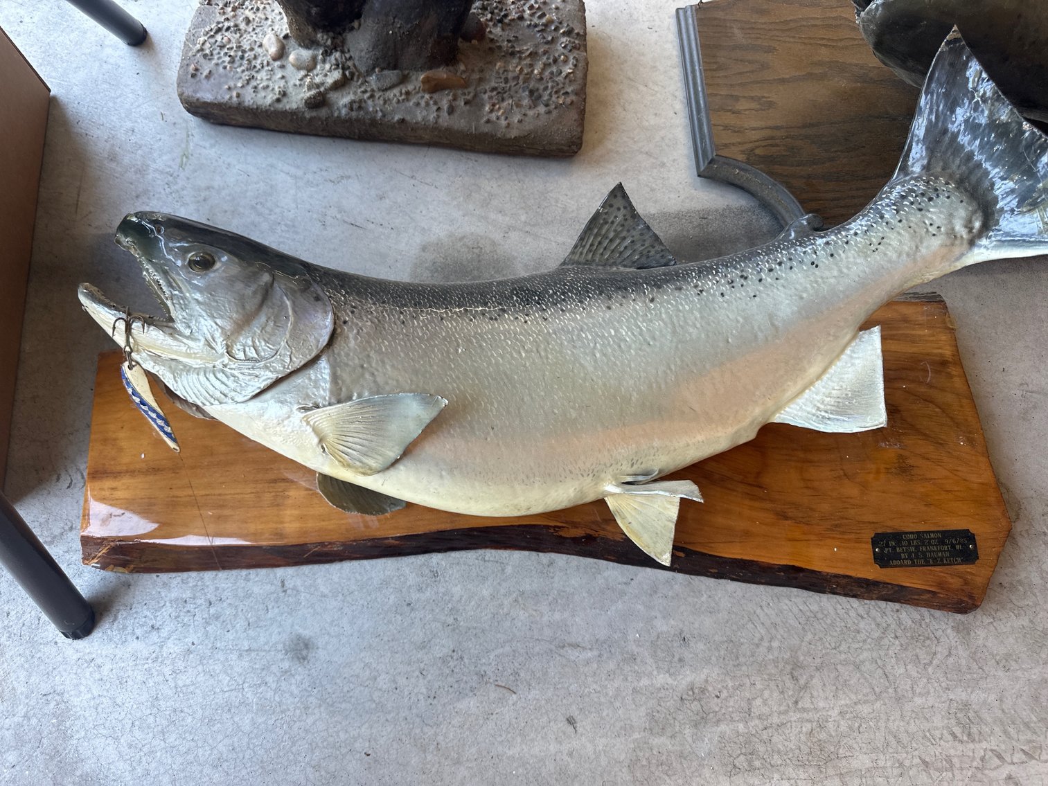 Image for (Whitehouse OH) Summer Consignment #2 July 2024 (Weckerly Rd.)