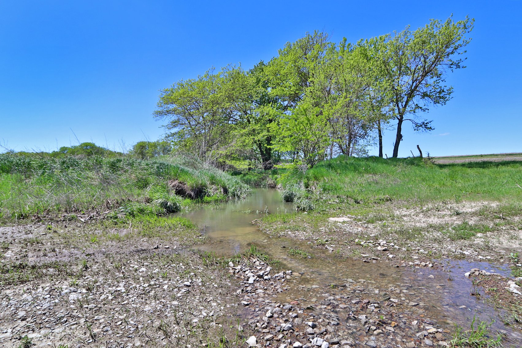 Image for Donald W. Eis Farmland Auction by the Schaardt Auction Team with Burrows Tracts Real Estate