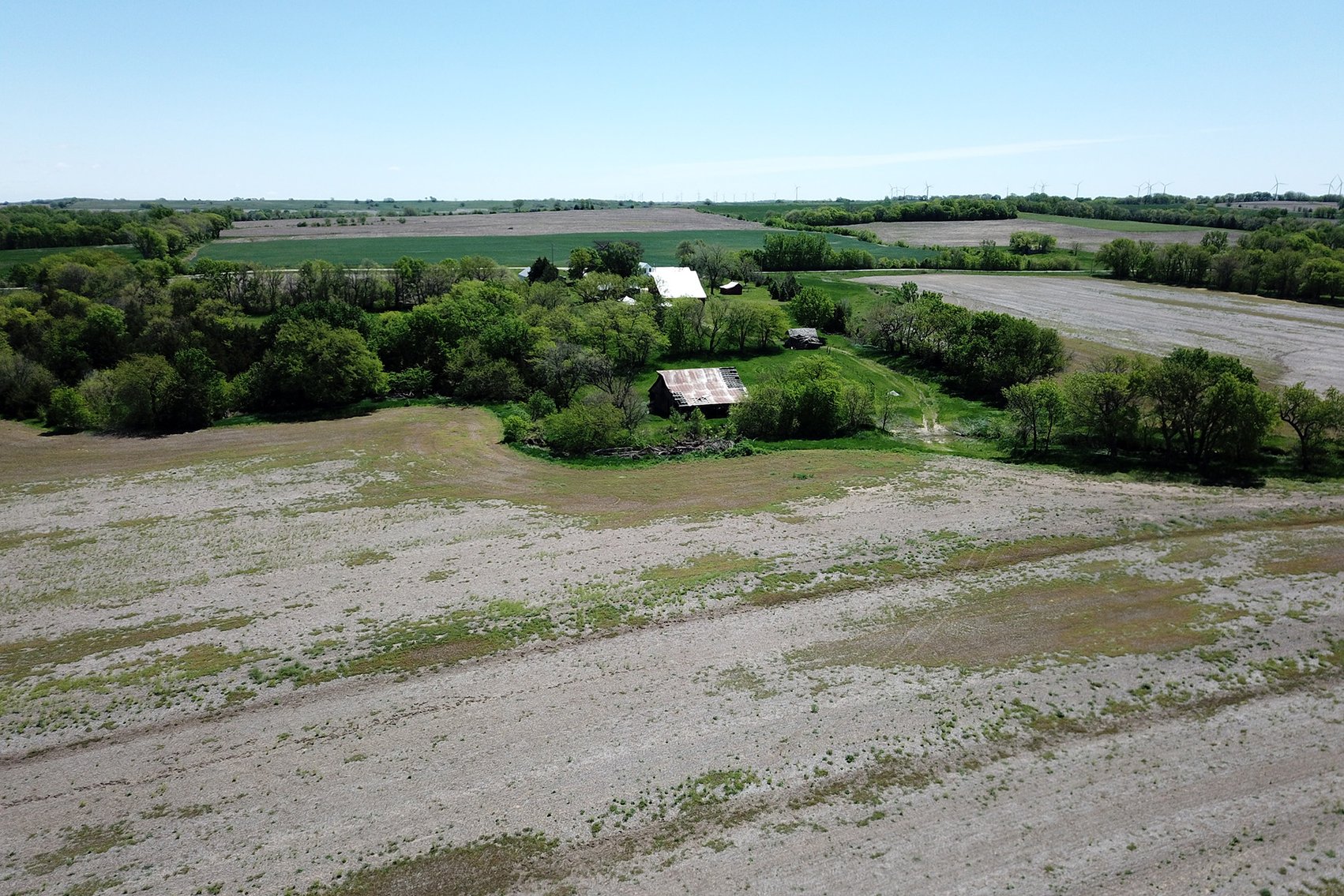 Image for Donald W. Eis Farmland Auction by the Schaardt Auction Team with Burrows Tracts Real Estate