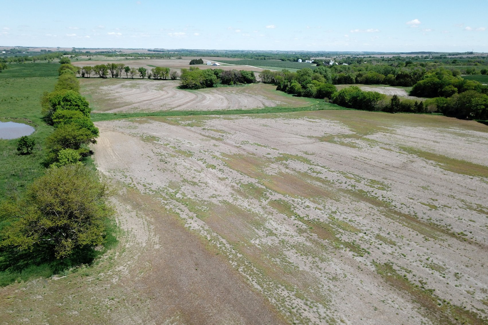 Image for Donald W. Eis Farmland Auction by the Schaardt Auction Team with Burrows Tracts Real Estate