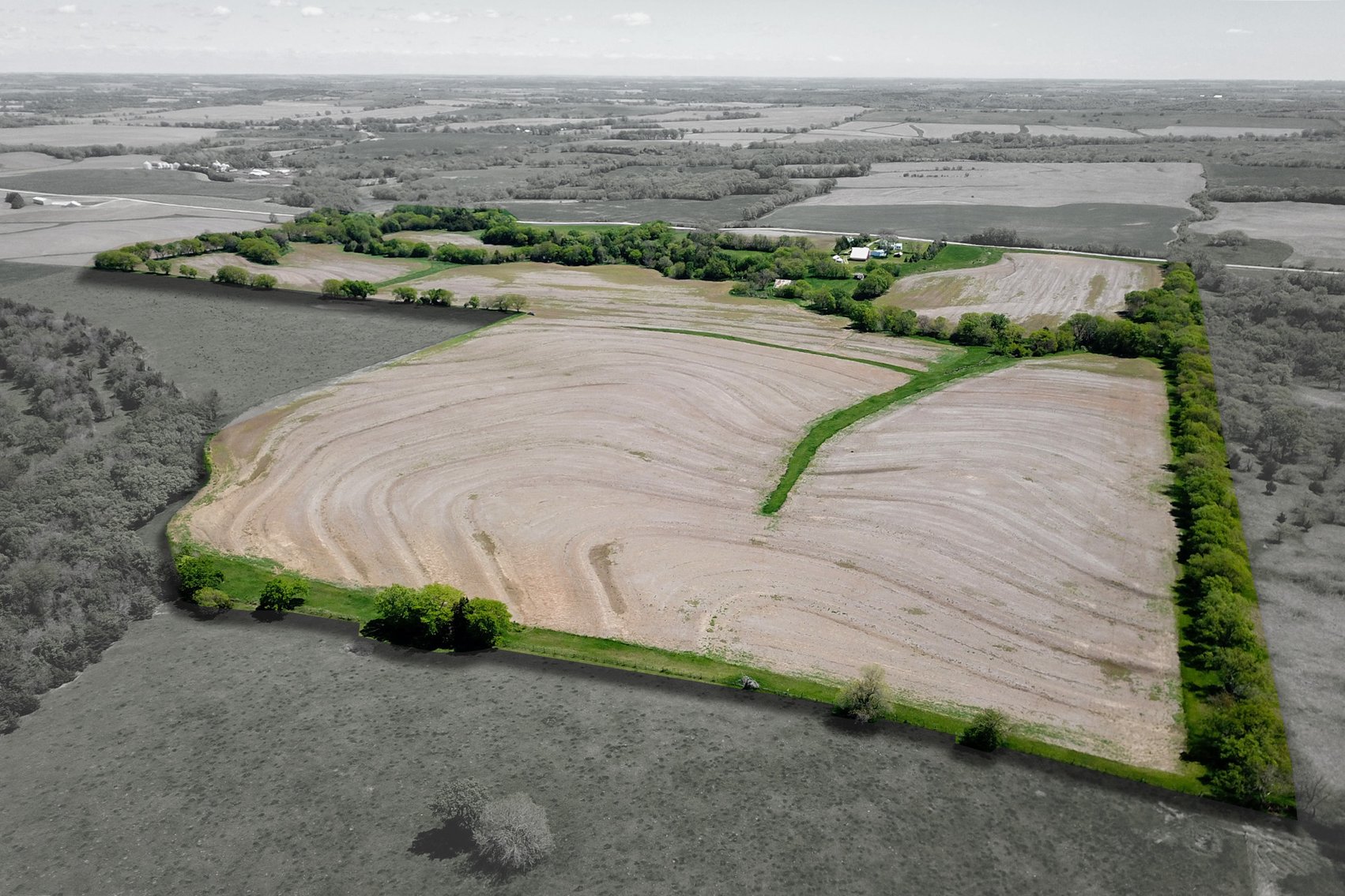 Image for Donald W. Eis Farmland Auction by the Schaardt Auction Team with Burrows Tracts Real Estate