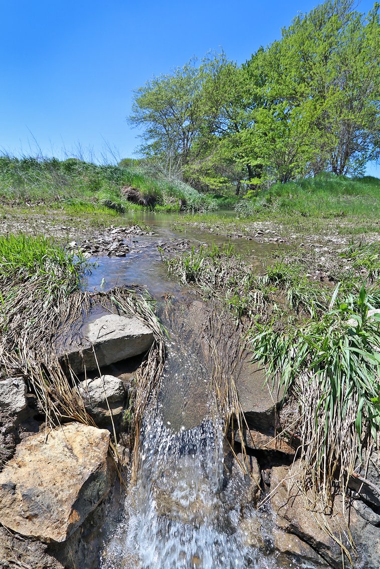 Image for Donald W. Eis Farmland Auction by the Schaardt Auction Team with Burrows Tracts Real Estate