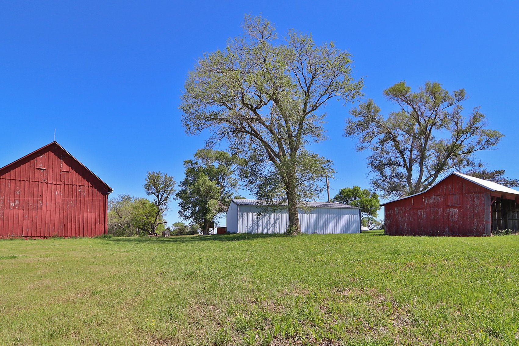 Image for Donald W. Eis Farmland Auction by the Schaardt Auction Team with Burrows Tracts Real Estate