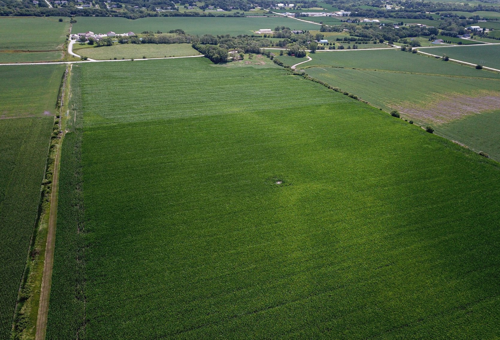 Image for Conrad & Theresa Wildhagen Estate Land Auction - Sarpy County, NE 78.83 Acres