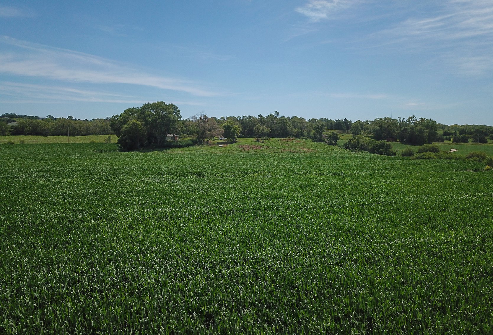 Image for Conrad & Theresa Wildhagen Estate Land Auction - Sarpy County, NE 78.83 Acres