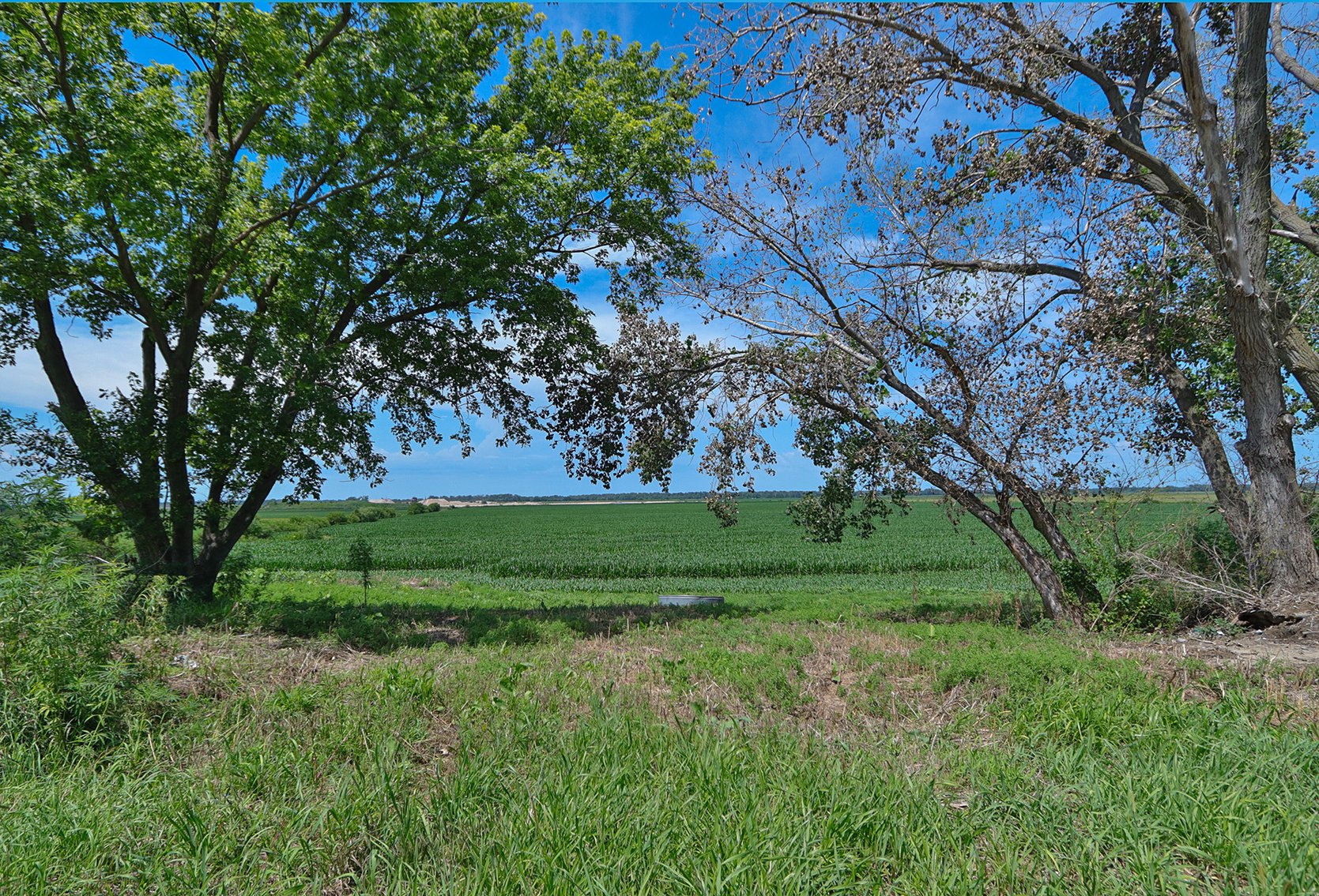 Image for Conrad & Theresa Wildhagen Estate Land Auction - Sarpy County, NE 78.83 Acres