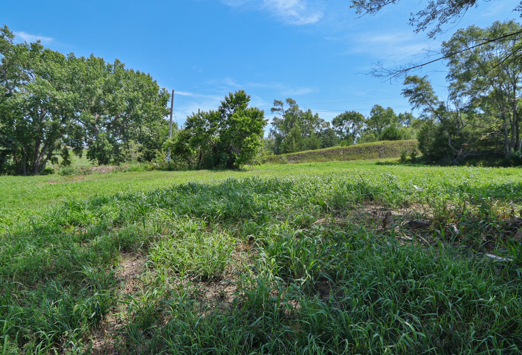 Image for Conrad & Theresa Wildhagen Estate Land Auction - Sarpy County, NE 78.83 Acres