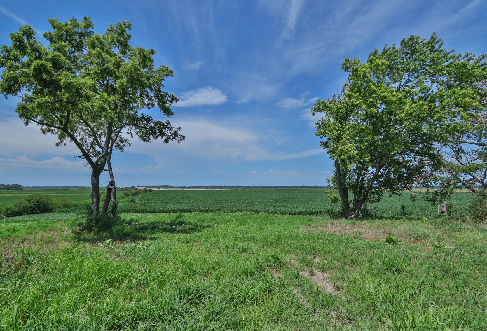 Image for Conrad & Theresa Wildhagen Estate Land Auction - Sarpy County, NE 78.83 Acres
