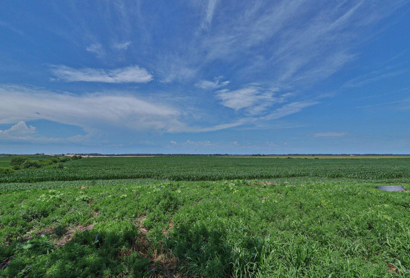 Image for Conrad & Theresa Wildhagen Estate Land Auction - Sarpy County, NE 78.83 Acres