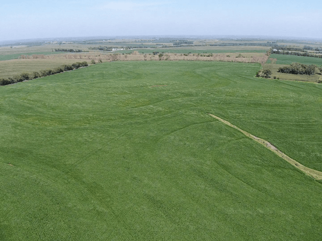 Image for Niebrugge Land Auction - Nemaha County, NE