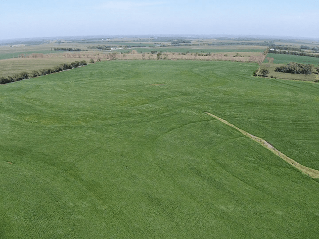 Image for Niebrugge Land Auction - Nemaha County, NE