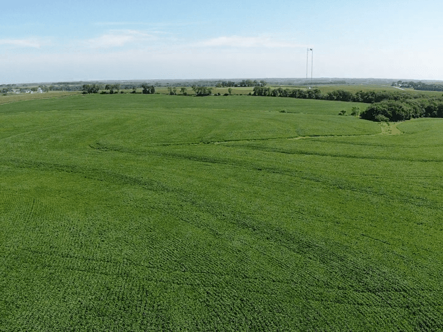 Image for Niebrugge Land Auction - Nemaha County, NE