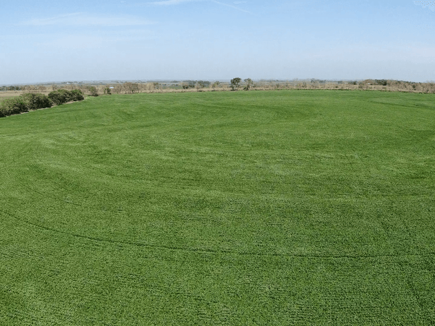 Image for Niebrugge Land Auction - Nemaha County, NE