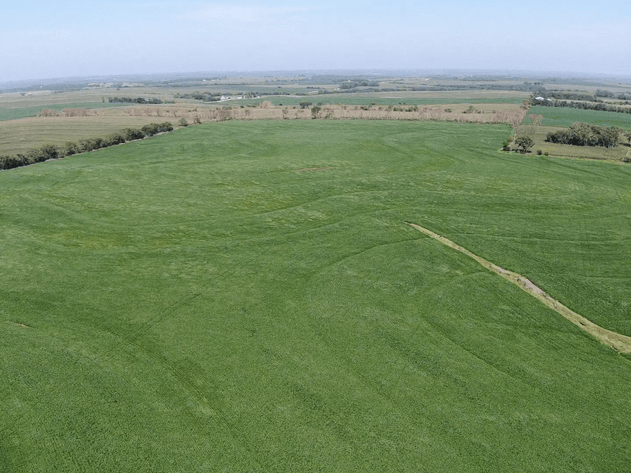Image for Niebrugge Land Auction - Nemaha County, NE
