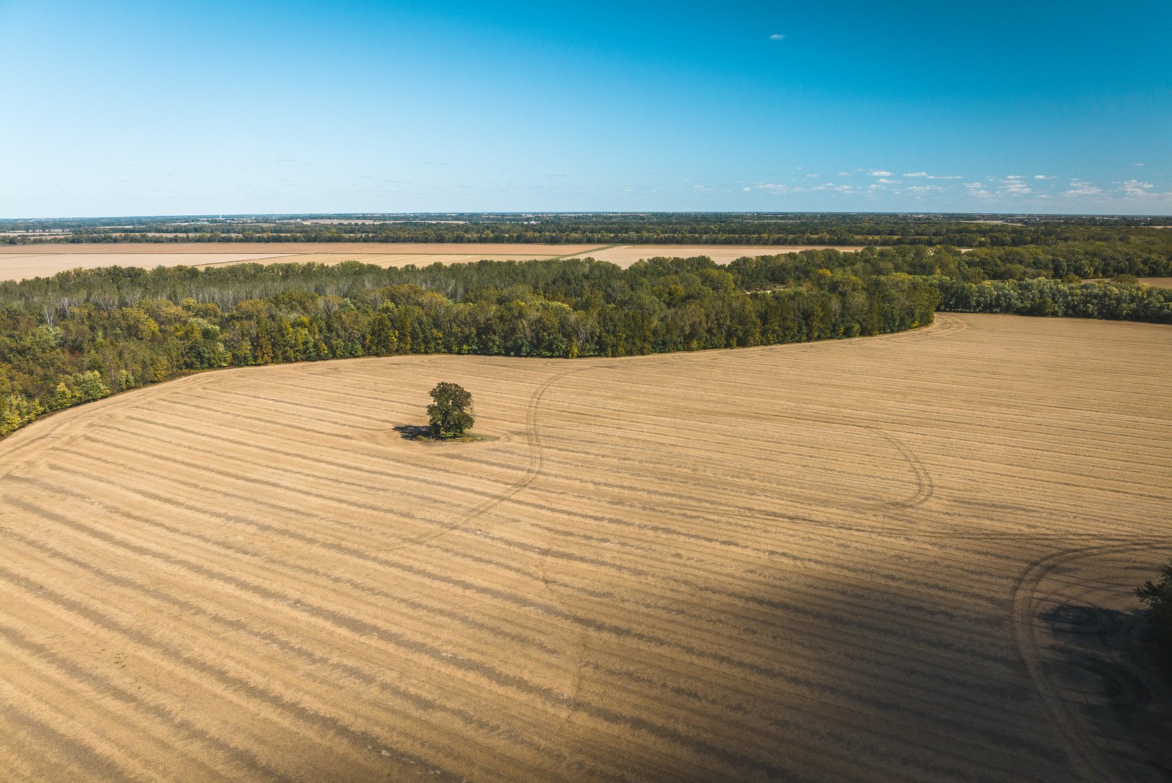 Image for Thompson River Farmland