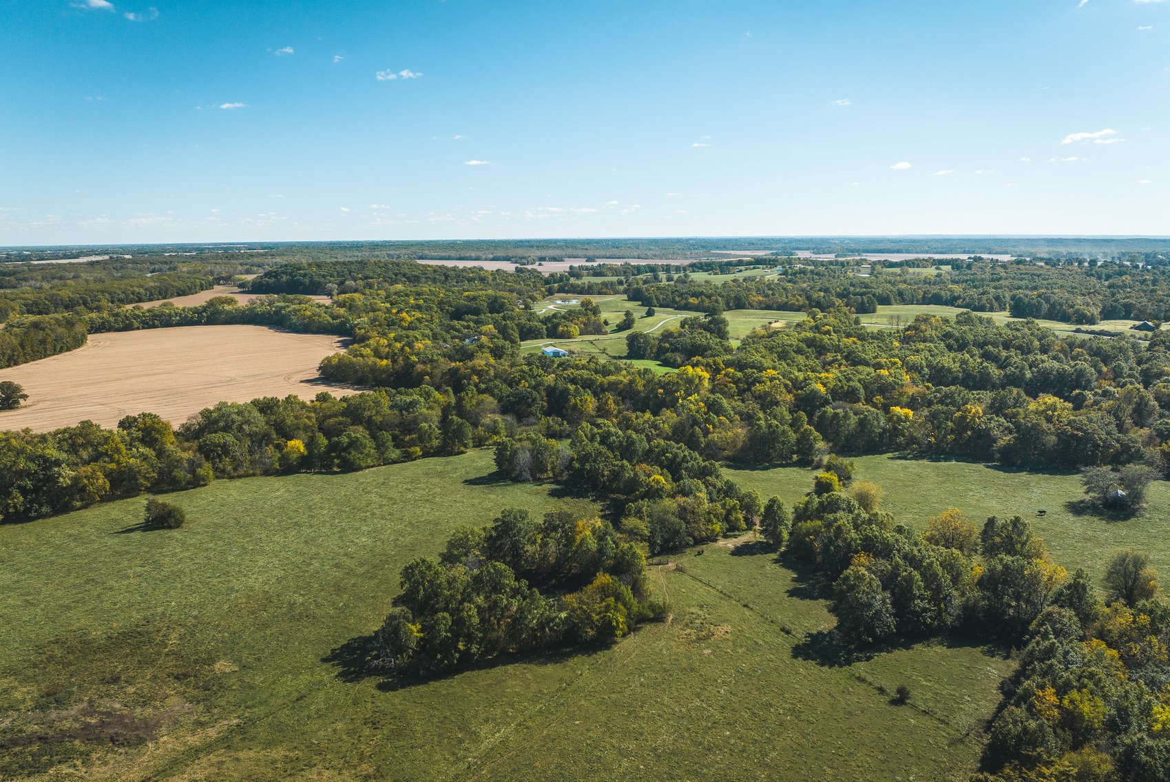 Image for Thompson River Farmland