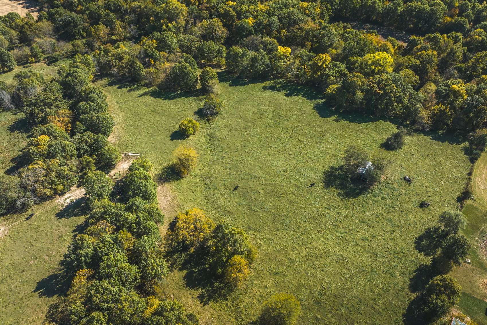 Image for Thompson River Farmland