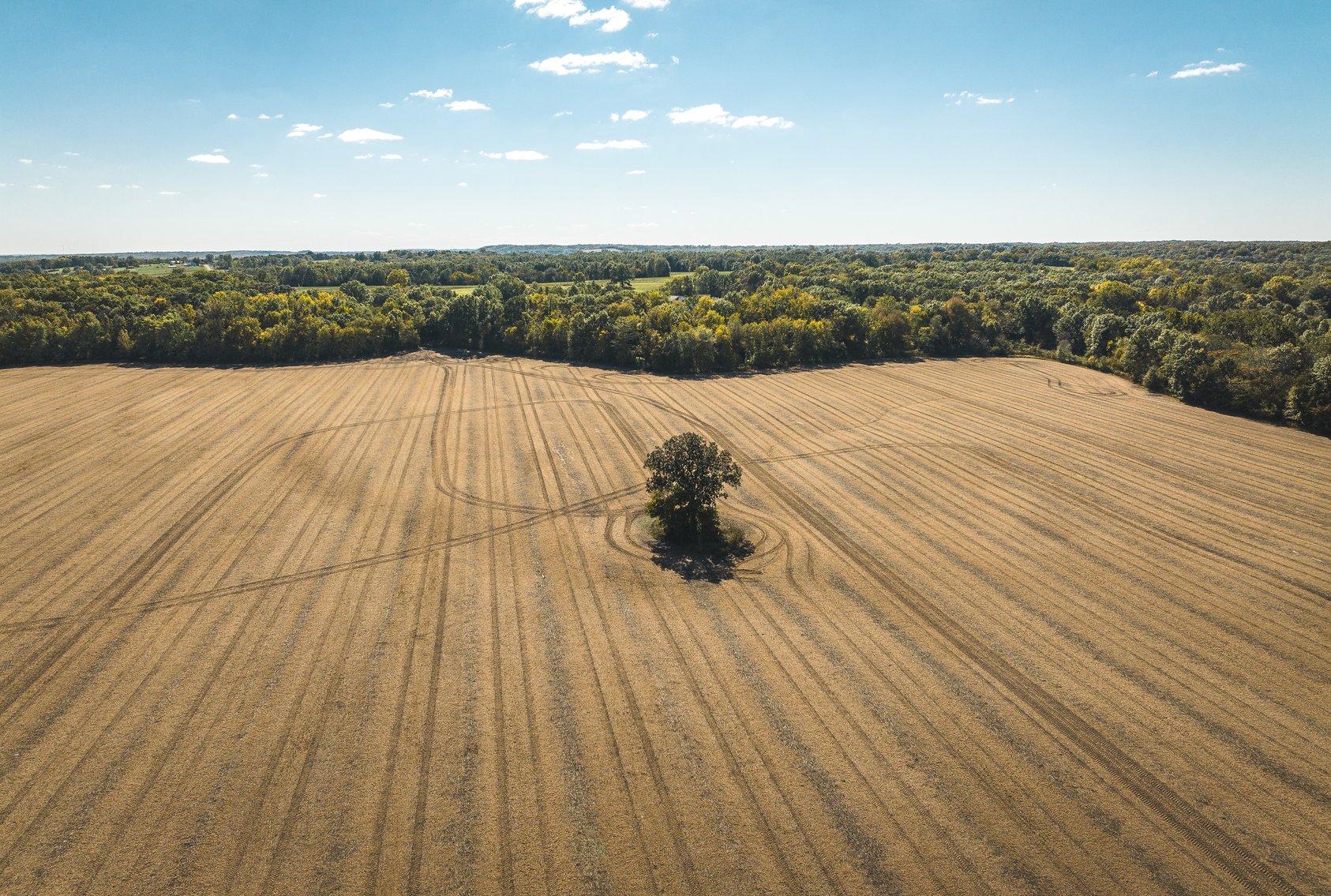 Image for Thompson River Farmland