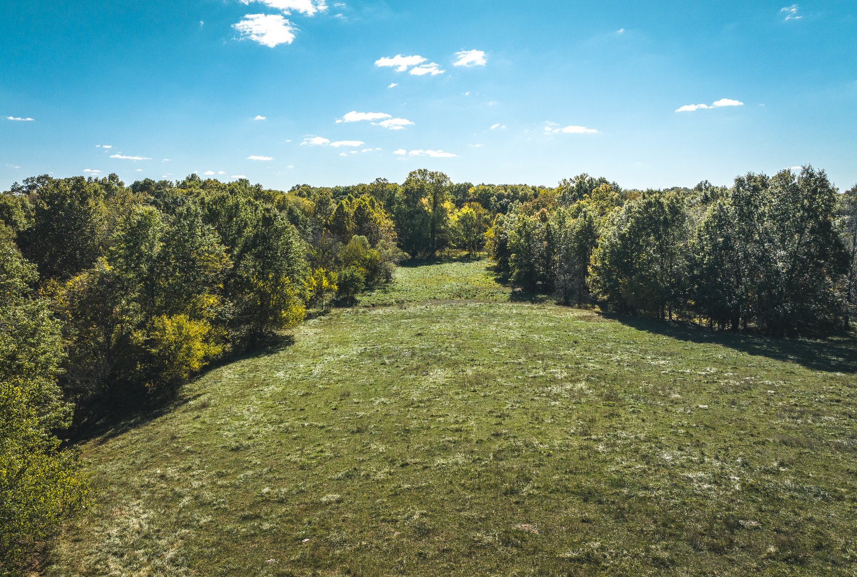 Image for Thompson River Farmland