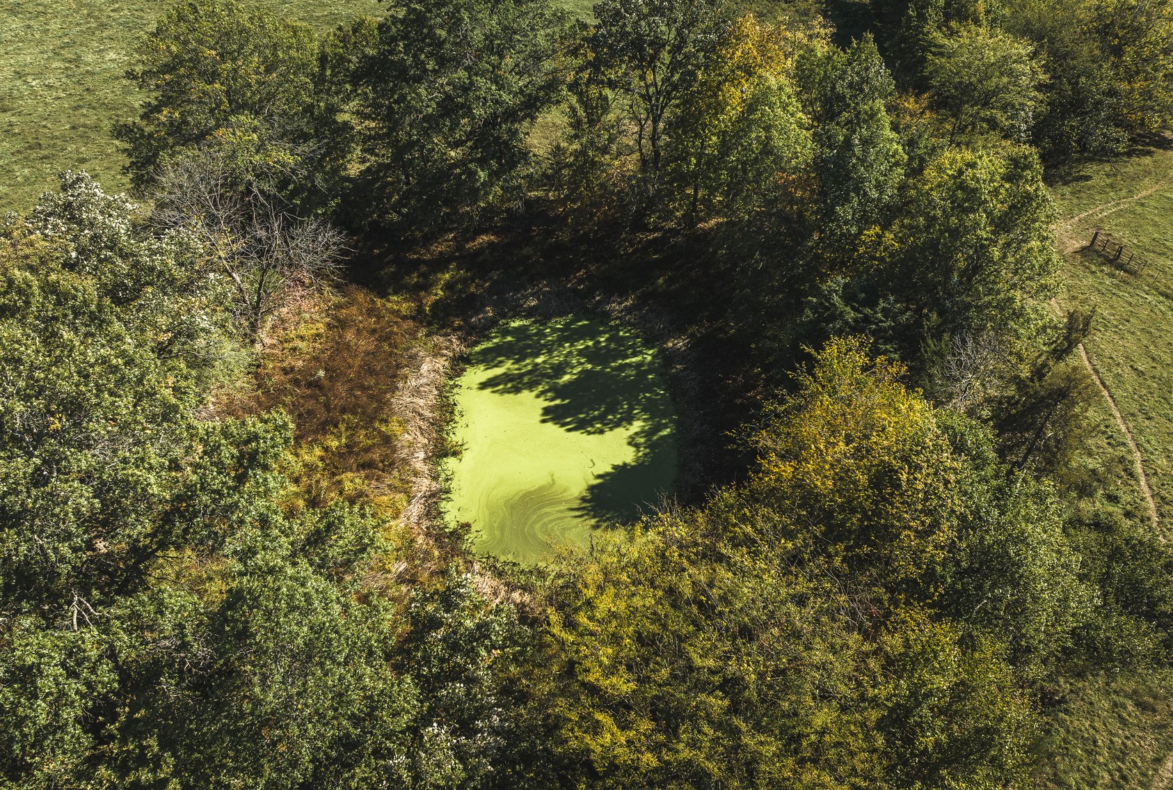 Image for Thompson River Farmland