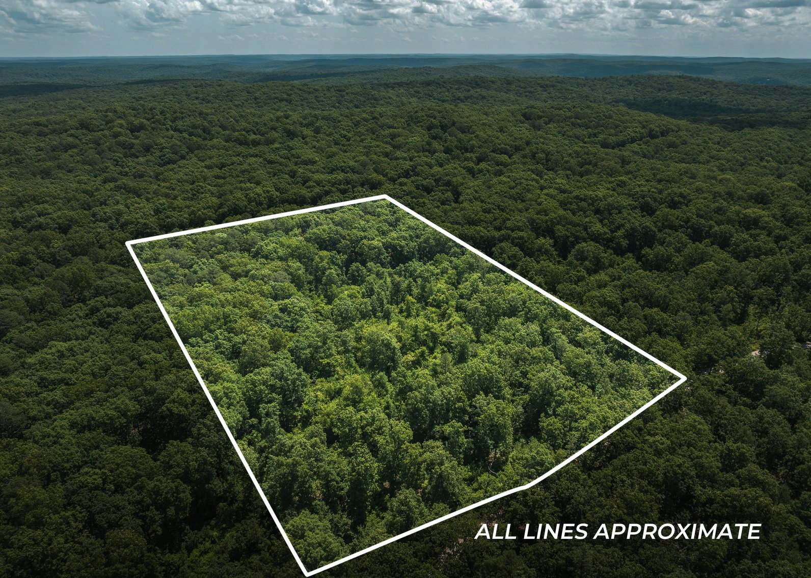 Image for Porcupine 7