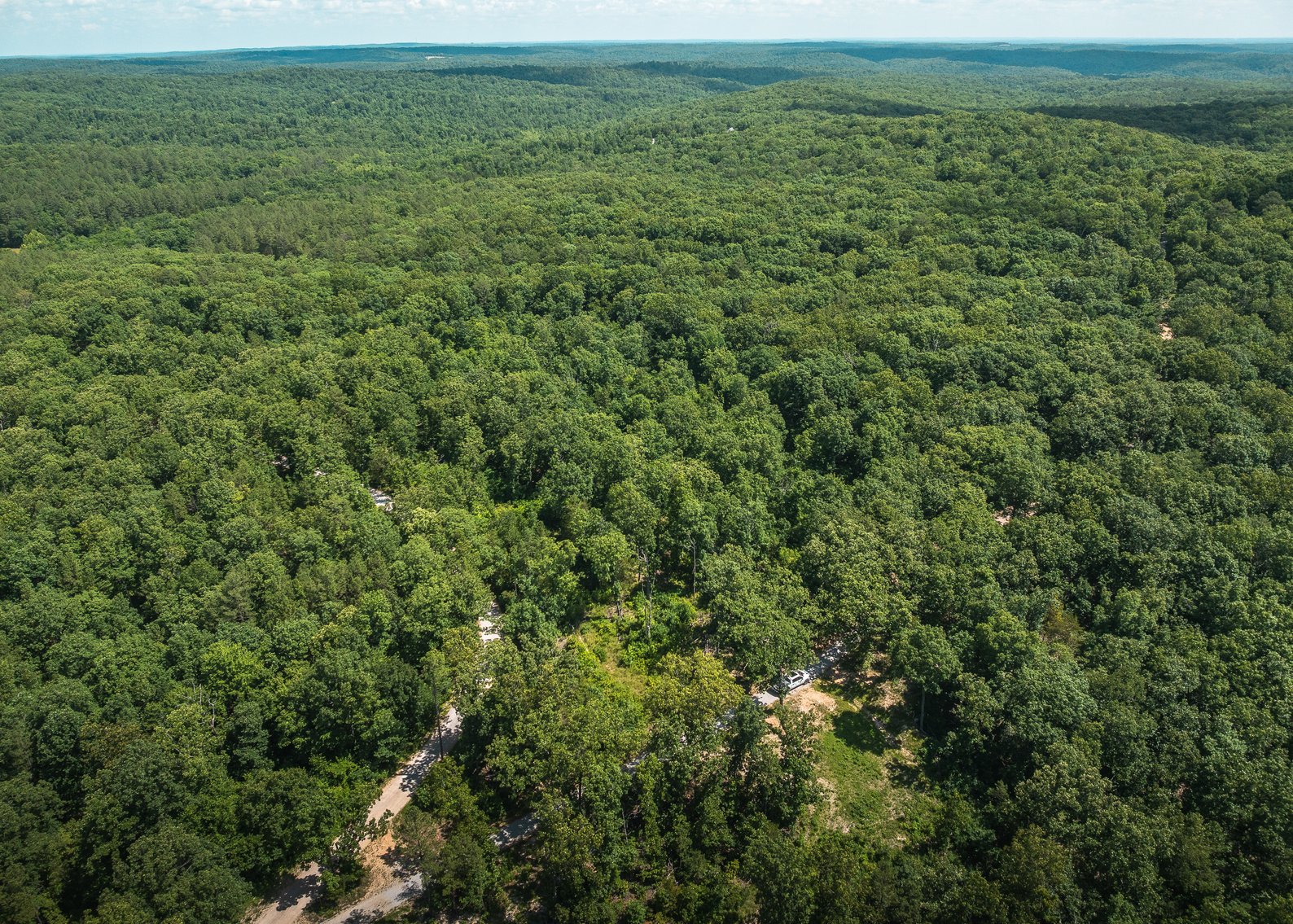 Image for Porcupine 7