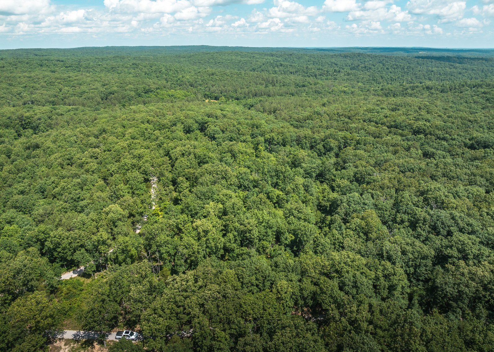 Image for Porcupine 7