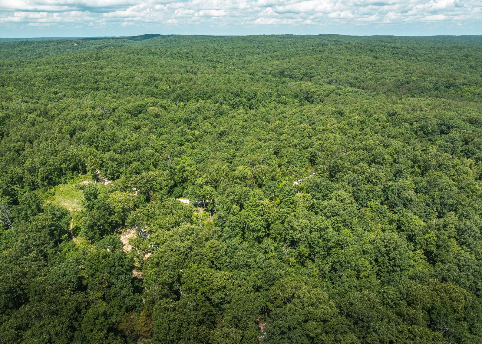 Image for Porcupine 7