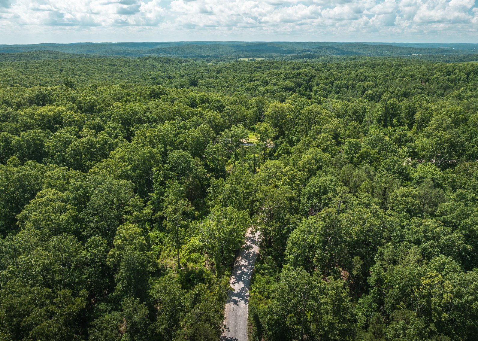 Image for Porcupine 7