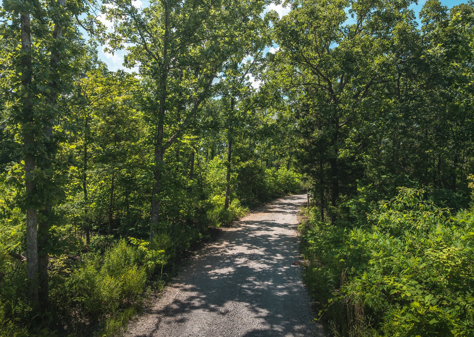 Image for Porcupine 7