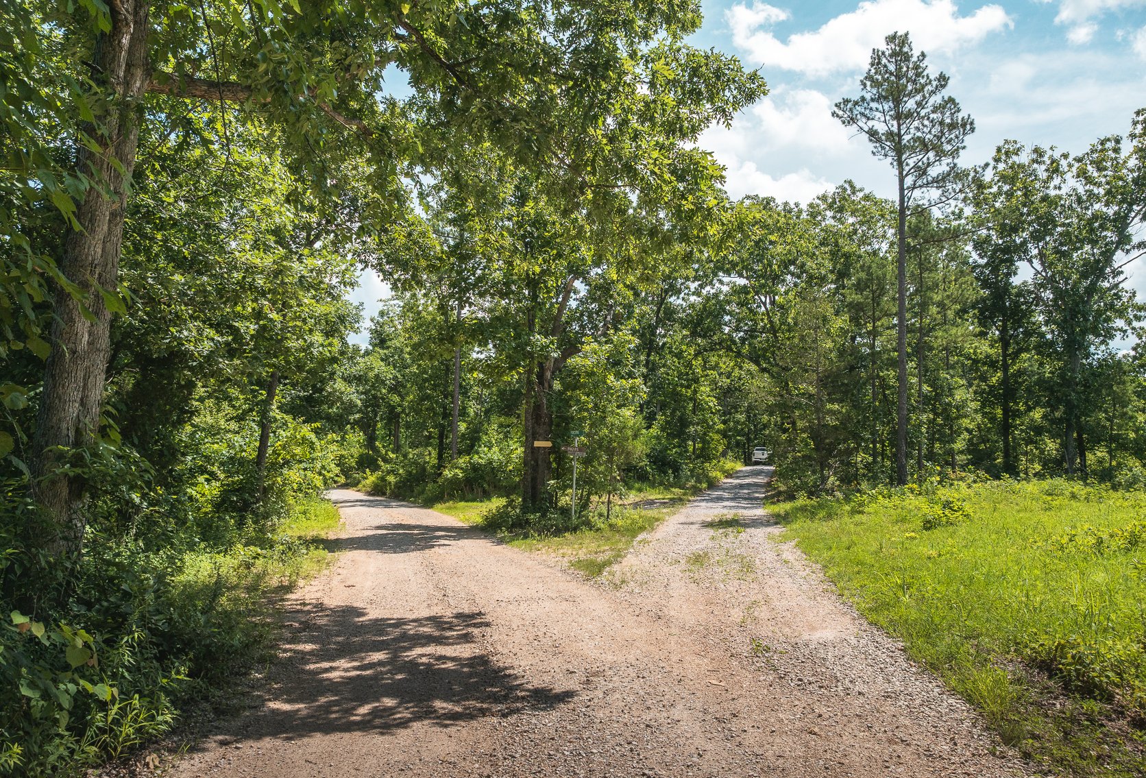 Image for Porcupine 7