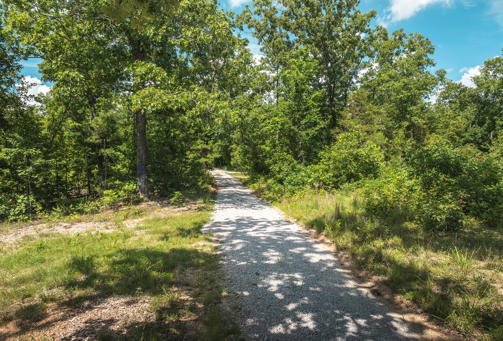 Image for Porcupine 7