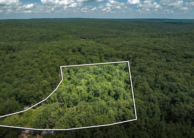 Image for Porcupine 7