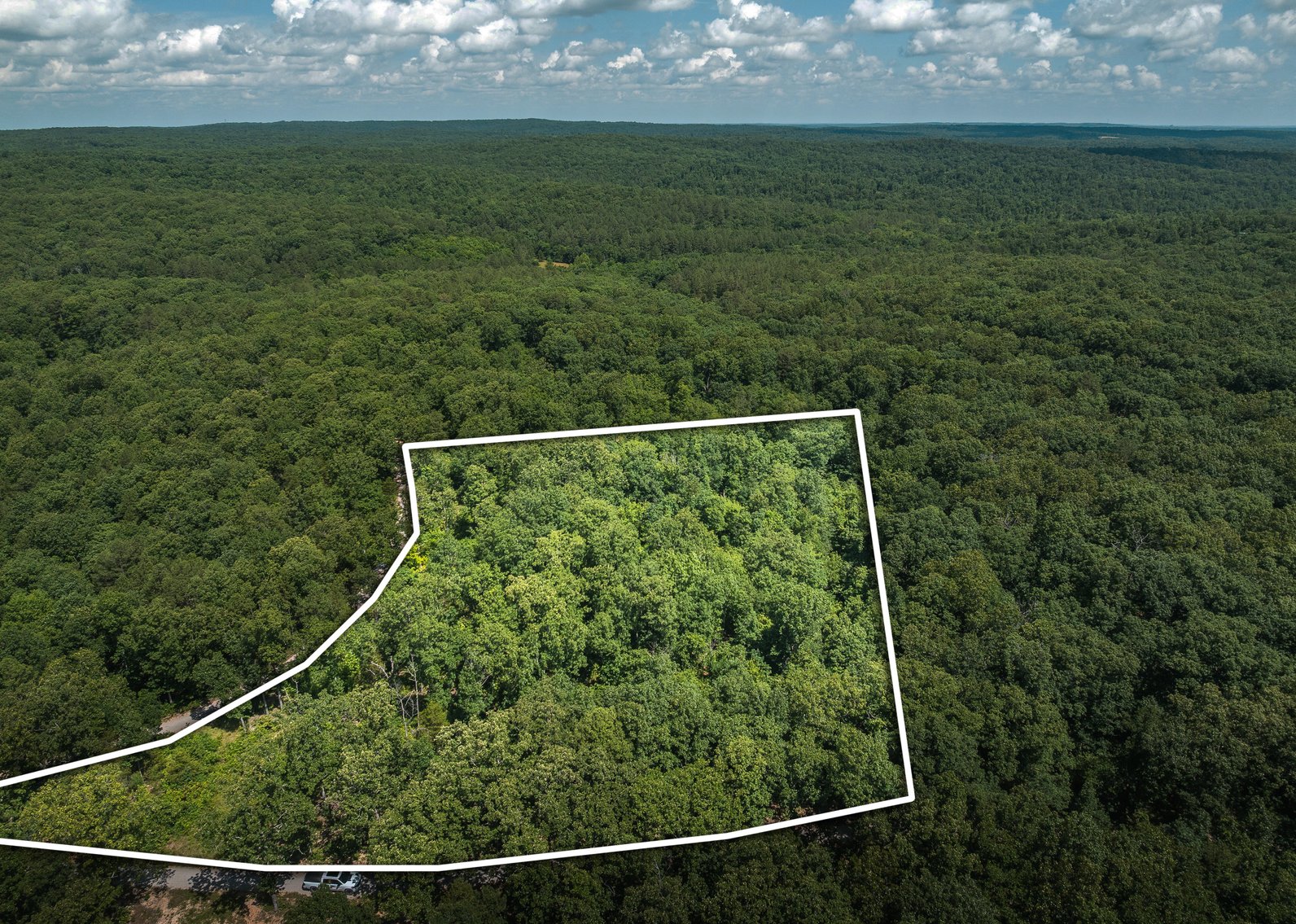 Image for Porcupine 7