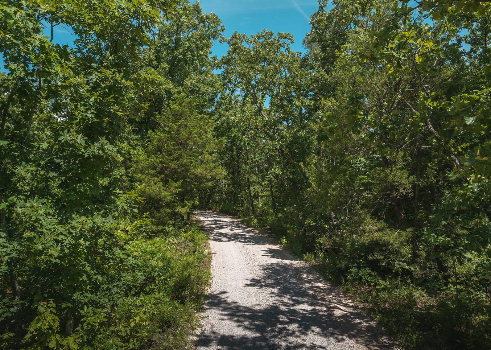 Image for Porcupine 7