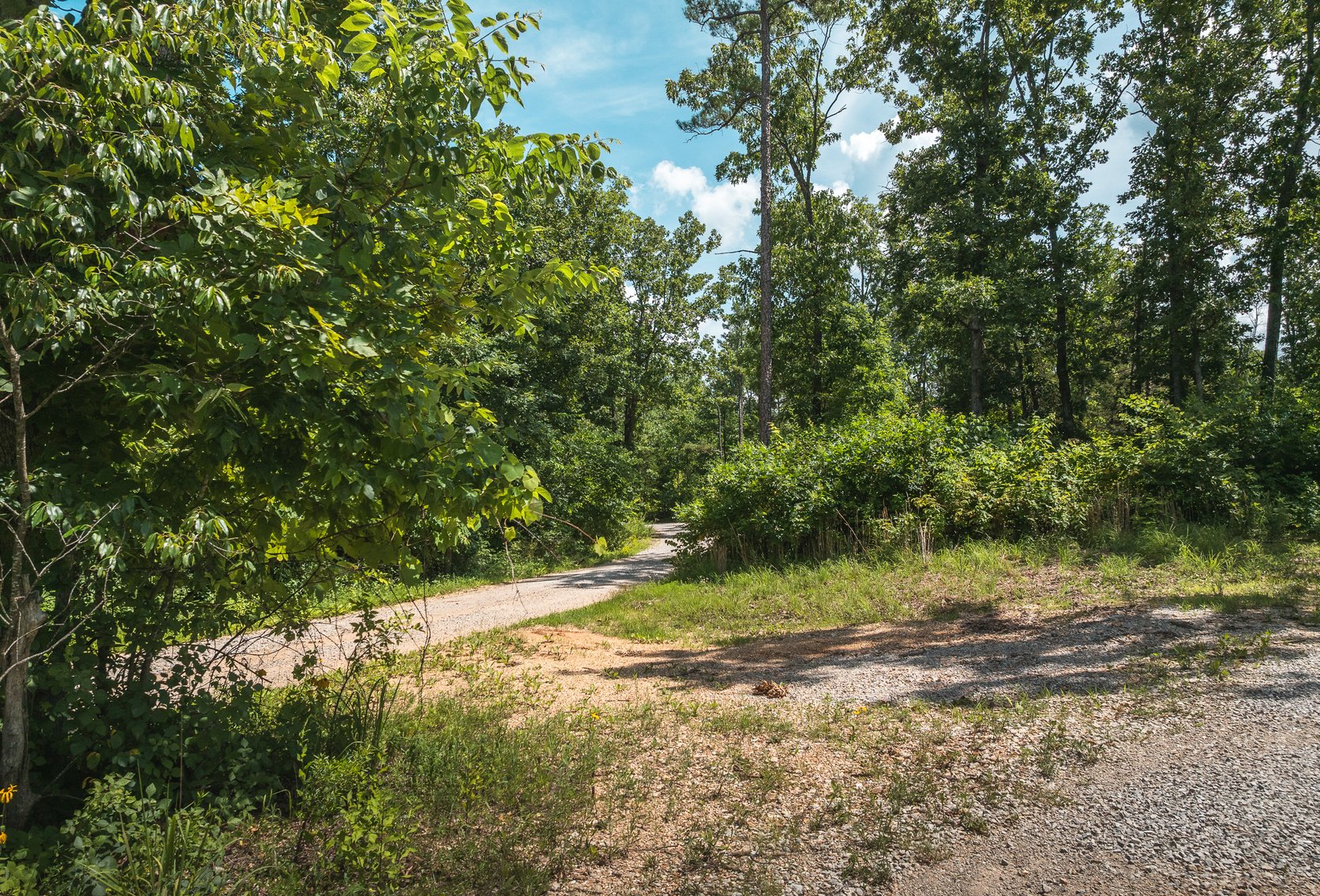 Image for Porcupine 7