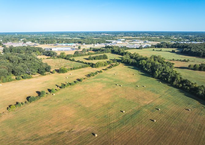 Image for Lebanon Auction