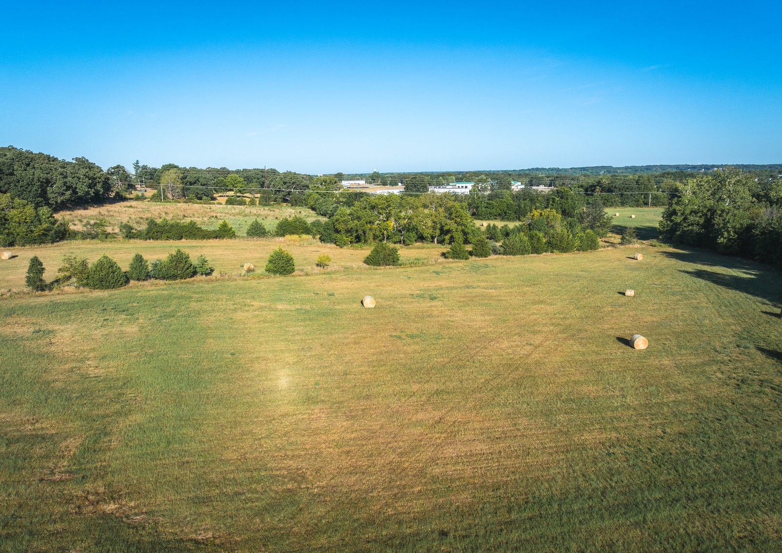 Image for Lebanon Auction