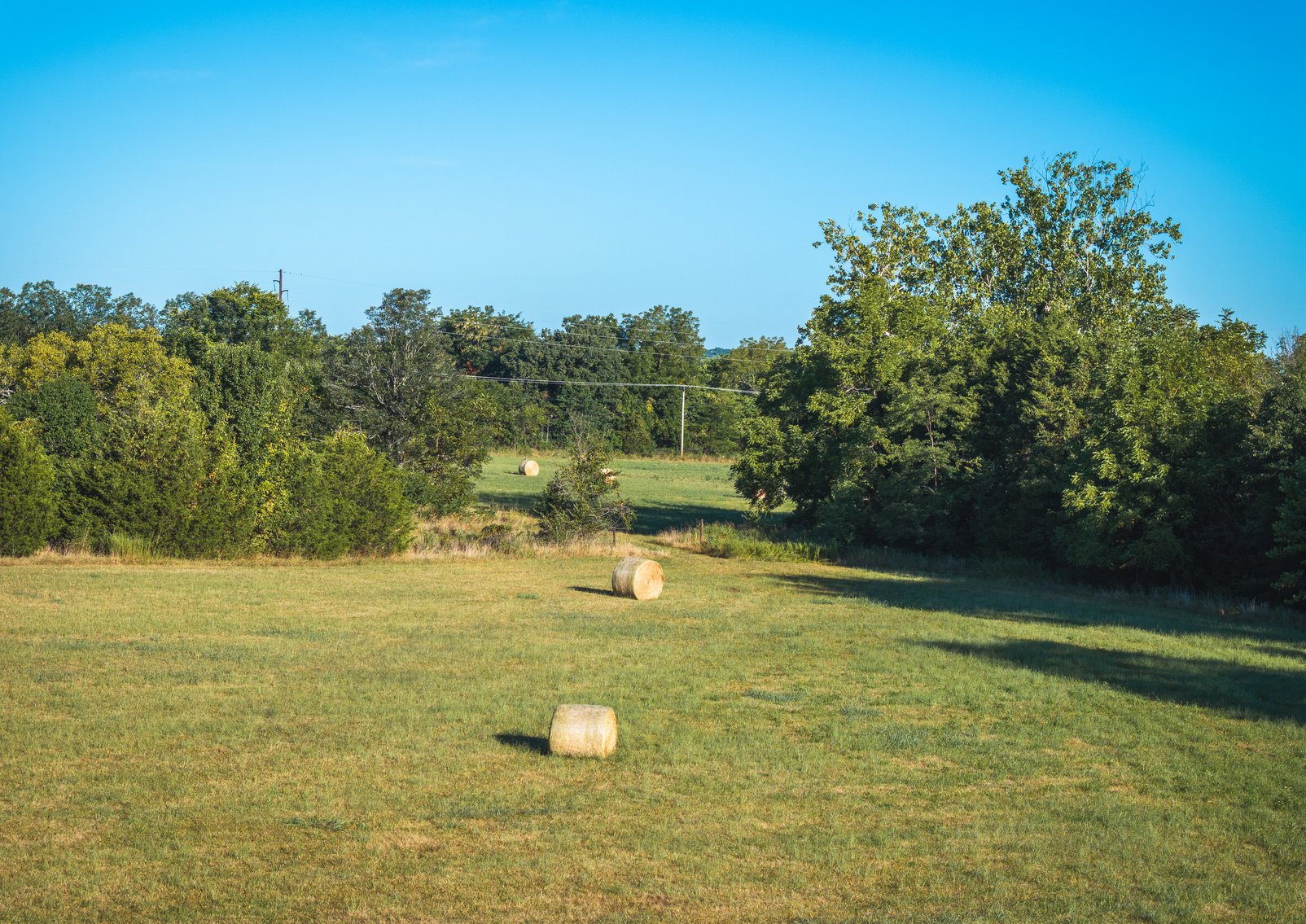 Image for Lebanon Auction