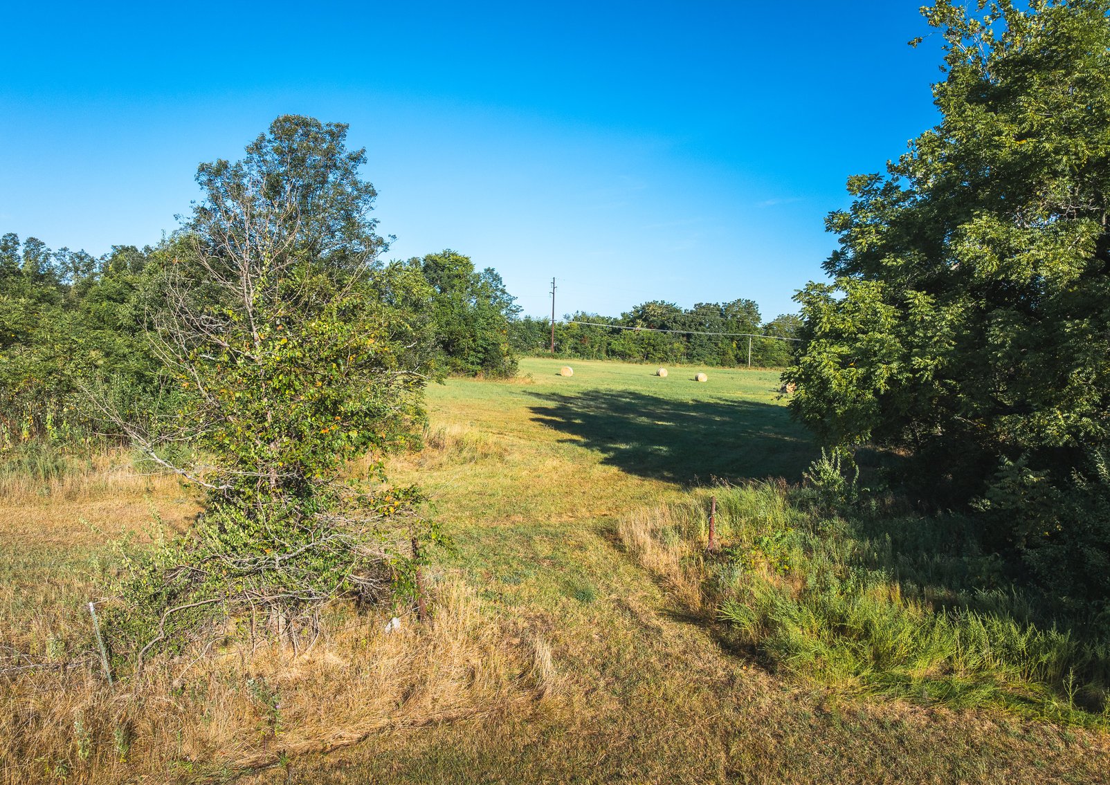 Image for Lebanon Auction