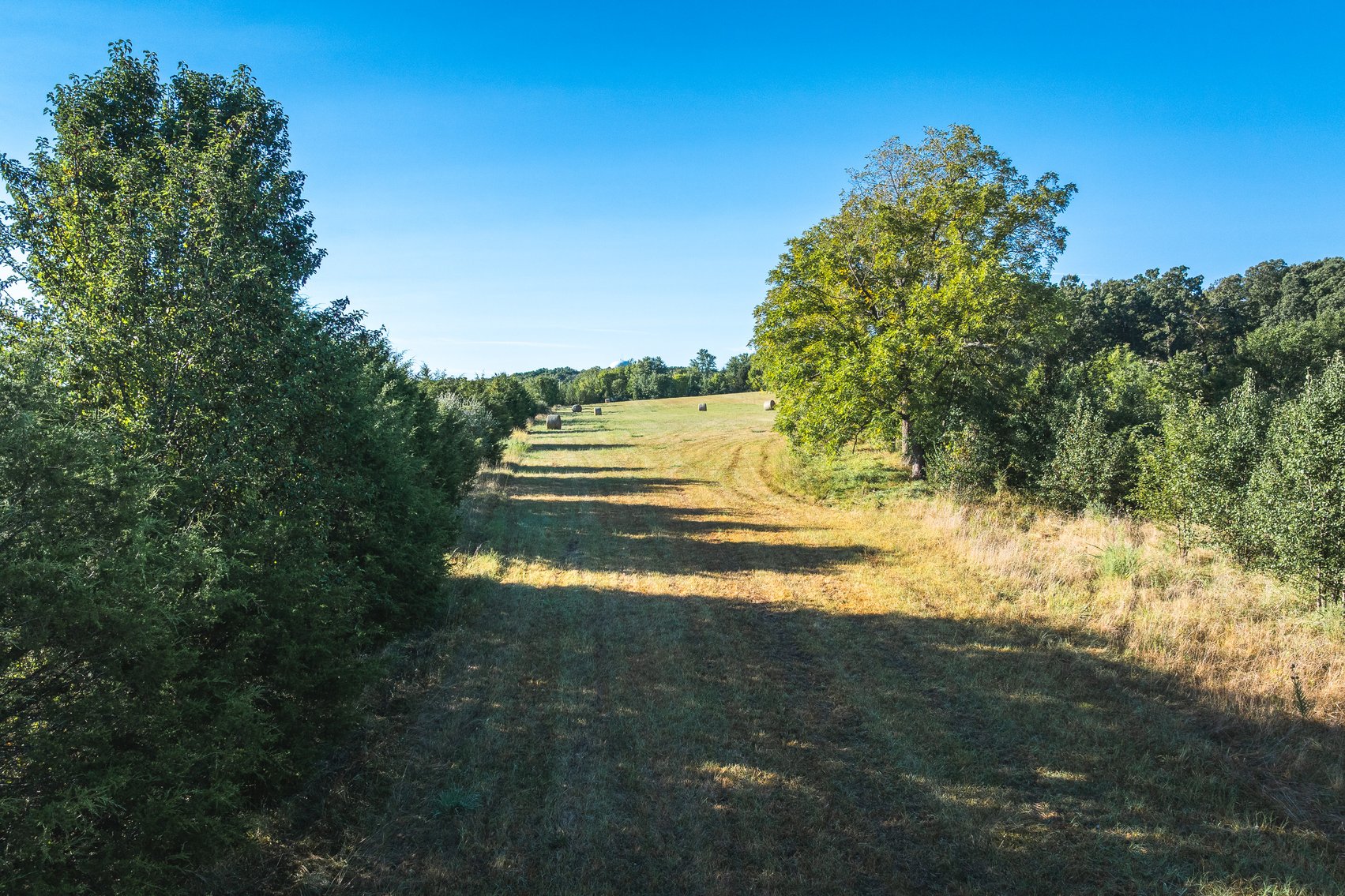 Image for Lebanon Auction