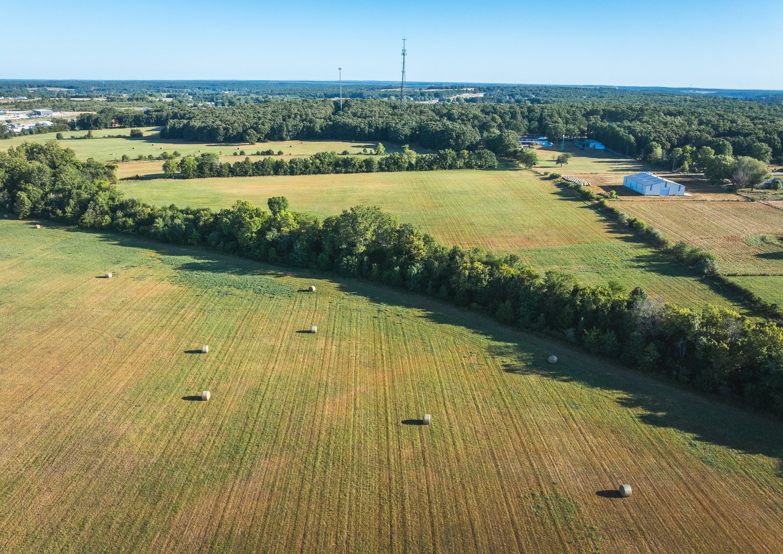 Image for Lebanon Auction